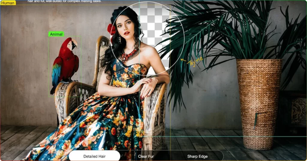 图片[1]-AIArty Image Matting v2.6 x64：AI智能抠图软件工具 - 搜源站-搜源站