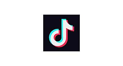 抖音视频下载器:TikTok 抖音下载器 v1.0 便携版-搜源站