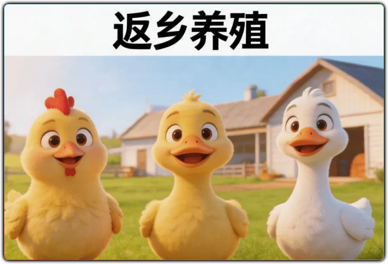 家禽养殖技术书籍:返乡创业高效养殖指南 - 搜源站-搜源站