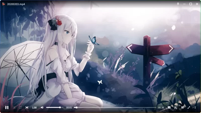 Iris v1.3.4 Windows 系统下超轻量的视频播放神器 - 搜源站-搜源站