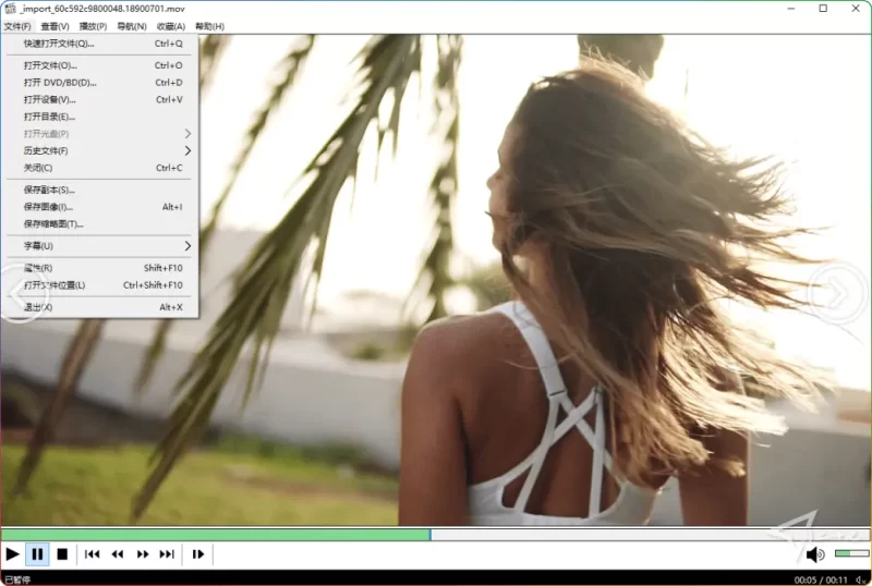 MPC-HC v2.5.0:开源免安装视频播放器(支持HDR/多格式/绿色版) - 搜源站-搜源站