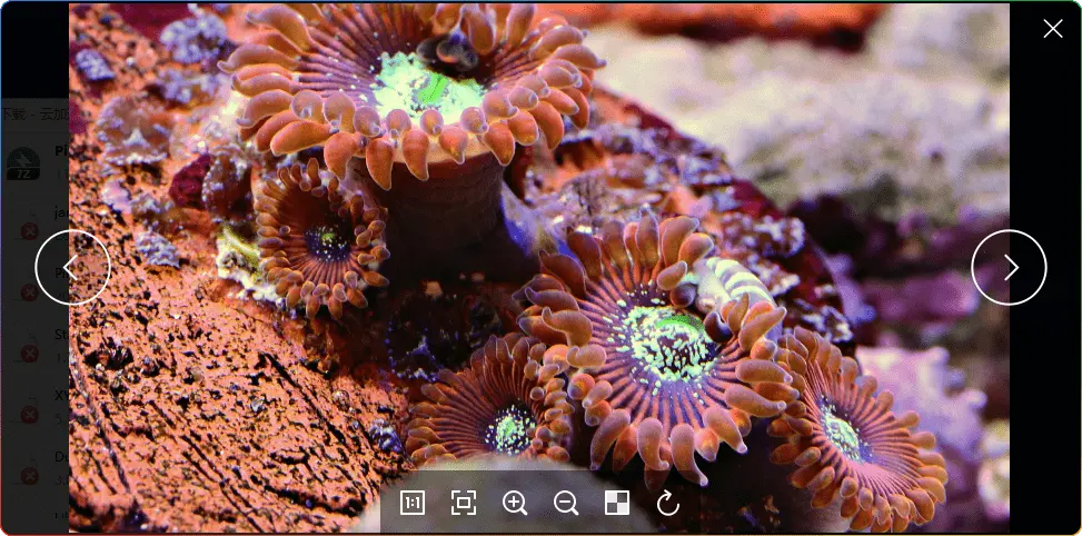 图片[1]-Pineapple Pictures菠萝看图v1.1.1：轻量级多格式图片查看器 - 搜源站-搜源站