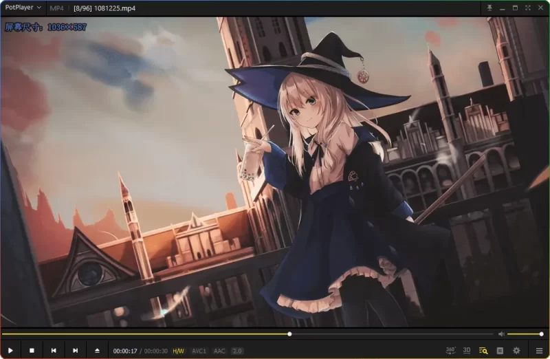 PotPlayer_Public v250529(1.7.22548) 精简绿化版下载|2025最新更新 - 搜源站-搜源站