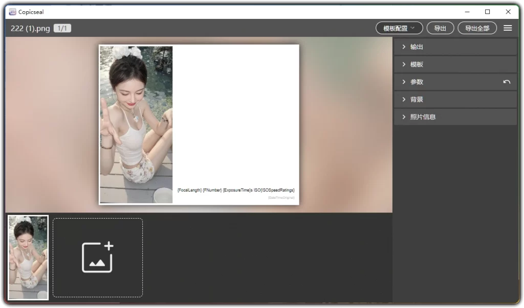 图片[1]-Copicseal v0.3.9：图片批量加水印工具 - 搜源站-搜源站