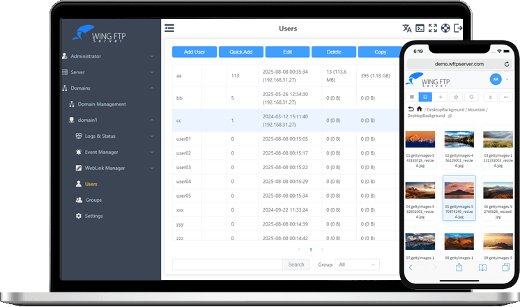 Wing FTP Server v8.1.4：跨平台企业级 FTP 服务器工具-搜源站