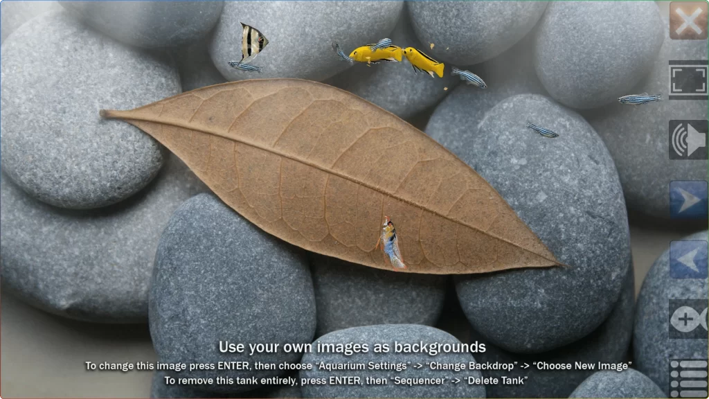 图片[2]-DreamAquarium v2.083：电脑屏保梦幻水族馆 - 搜源站-搜源站