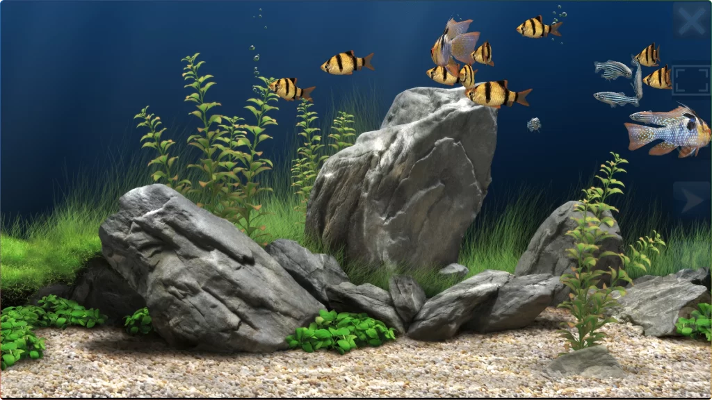图片[1]-DreamAquarium v2.083：电脑屏保梦幻水族馆 - 搜源站-搜源站