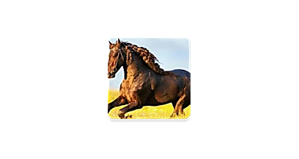 你的电视 v2.1.1：纯净电视直播多端可用-搜源站