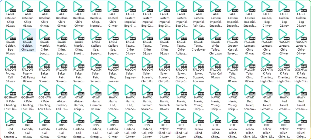 图片[2]-【猛禽类音效】BOOM 猛禽鸟类音效库[3.33 GB] - 搜源站-搜源站