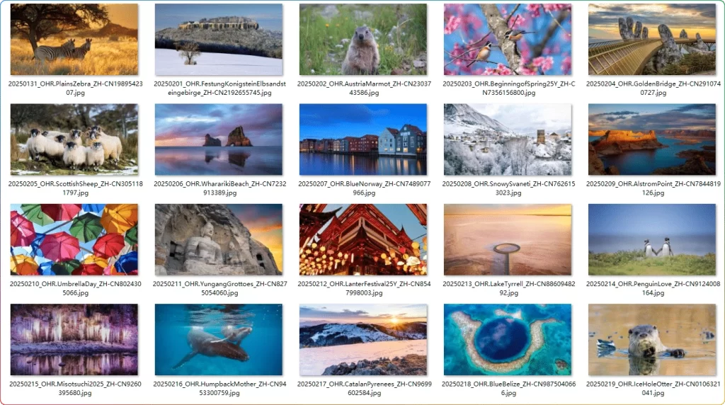 图片[2]-必应每日 4K 壁纸合集：2018-2025 超清无水印 - 搜源站-搜源站