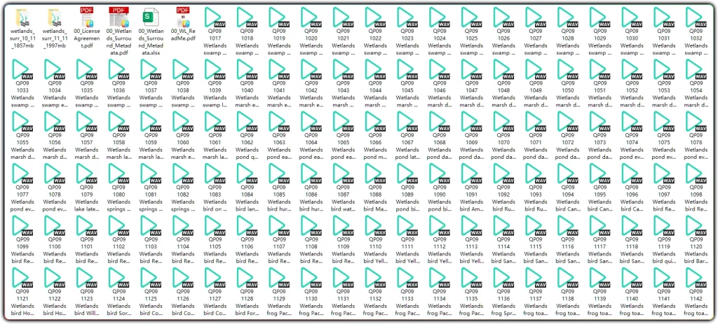 图片[2]-BoomLibraryWetlandsStereoandSurround: 湿地 5.0 立体环绕环境音效素材 - 搜源站-搜源站