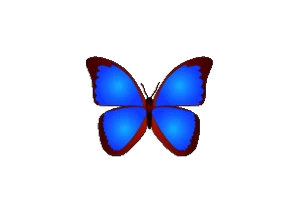 bkViewer v8.2e：专业数码照片浏览器功能-搜源站