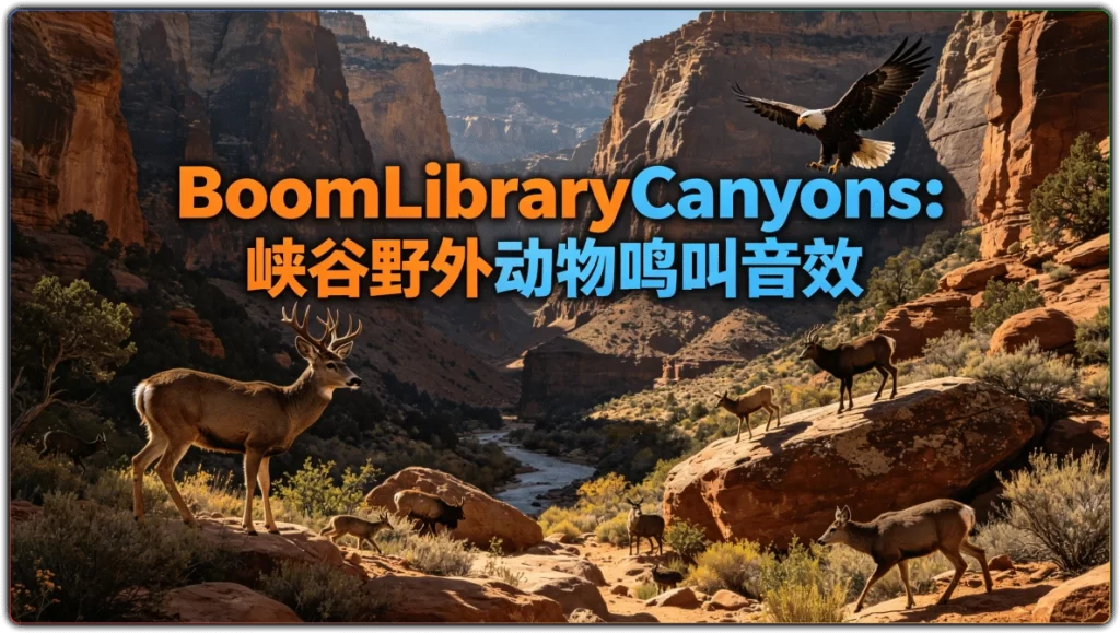 BoomLibraryCanyons:峡谷野外动物鸣叫音效-搜源站