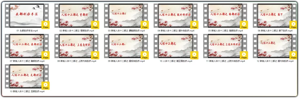 图片[2]-人体十二部刮痧视频课程：全身刮痧手法完整教学 - 搜源站-搜源站