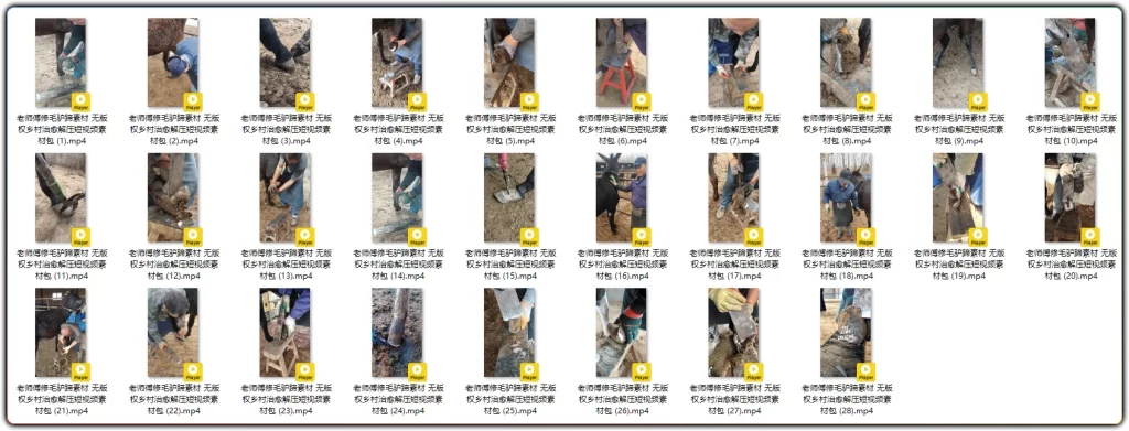 图片[2]-28条竖屏修毛驴蹄素材：无版权乡村治愈解压合集 - 搜源站-搜源站