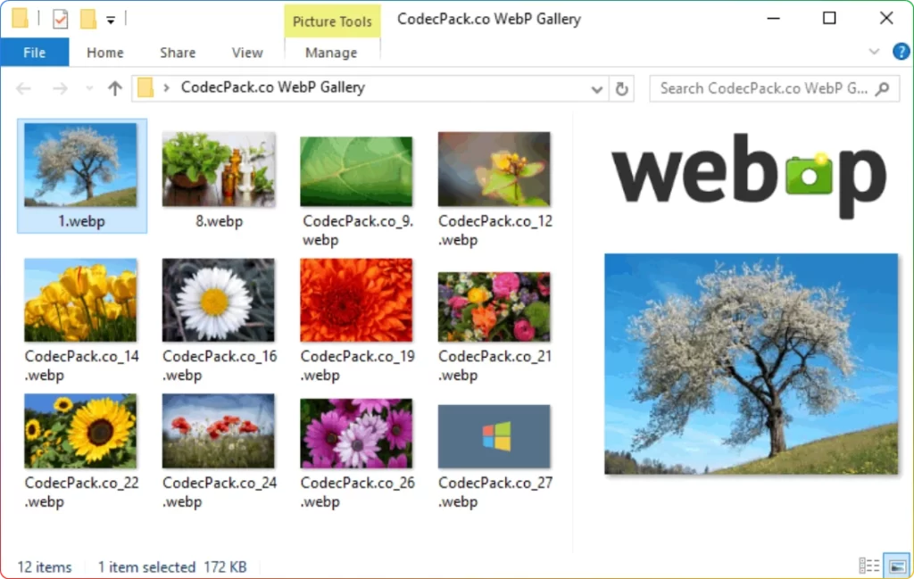 图片[1]-WebP Codec for Windows V0.19.9：WebP缩略图修复工具 - 搜源站-搜源站